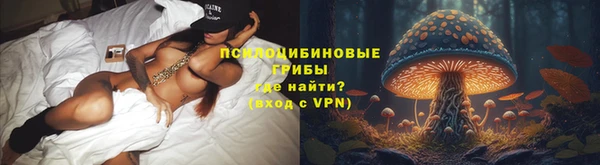 шишки Армянск