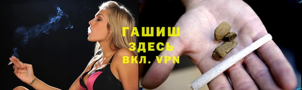 метадон Няндома