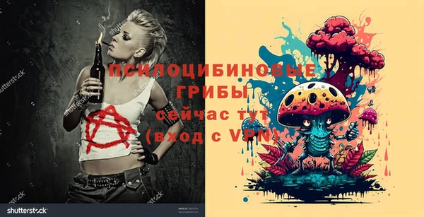 шишки Армянск