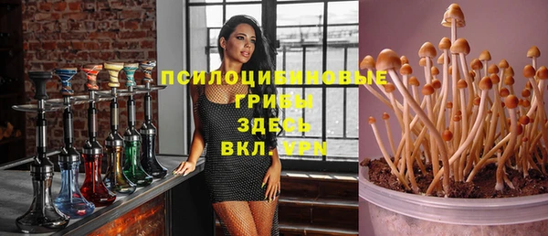 дмт Волоколамск