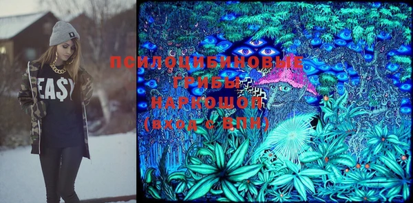 ПСИЛОЦИБИНОВЫЕ ГРИБЫ Арсеньев