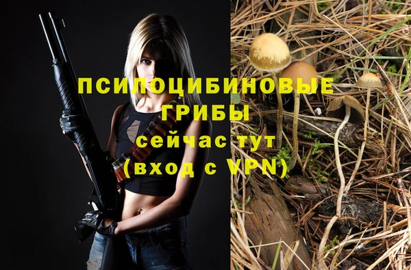 ПСИЛОЦИБИНОВЫЕ ГРИБЫ Арсеньев