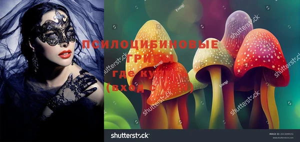 прущая мука Аркадак