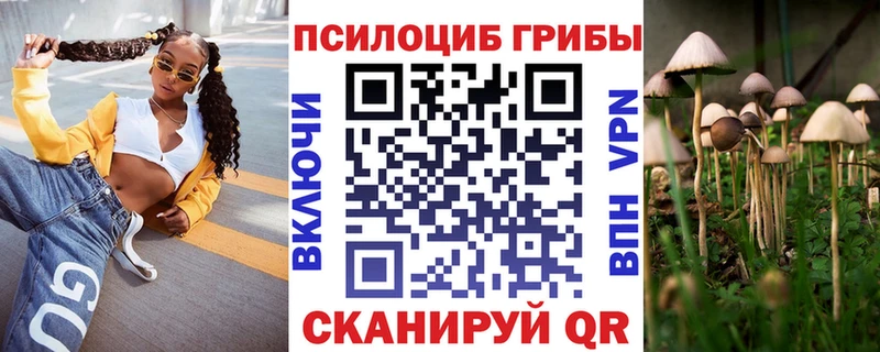 закладки ОМГ ОМГ вход Псилоцибиновые грибы GOLDEN TEACHER Багратионовск